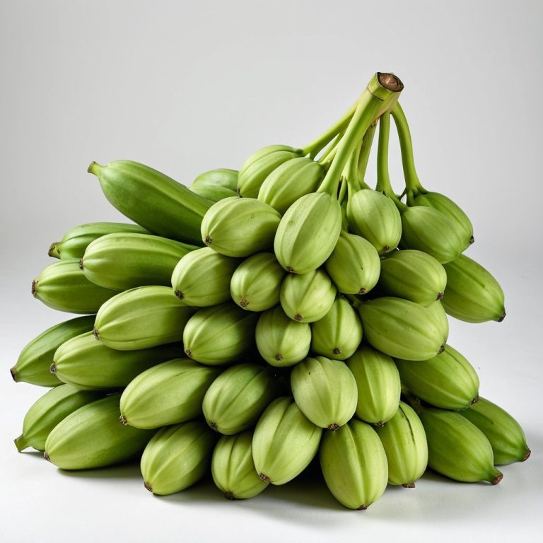 Green Cavendish Bananas Export Grade Wholesale