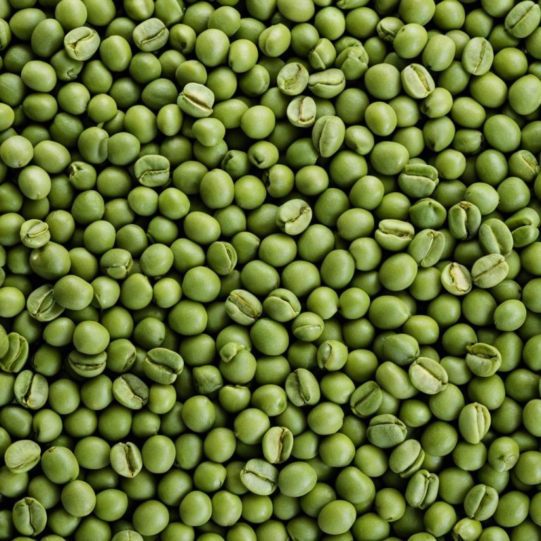 Green Coffee Beans Wholesale