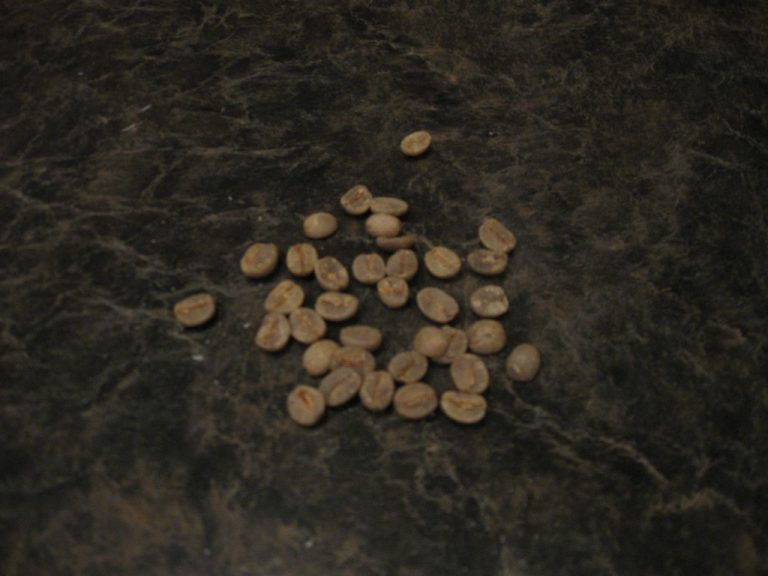 Green Coffee Beans Wholesale