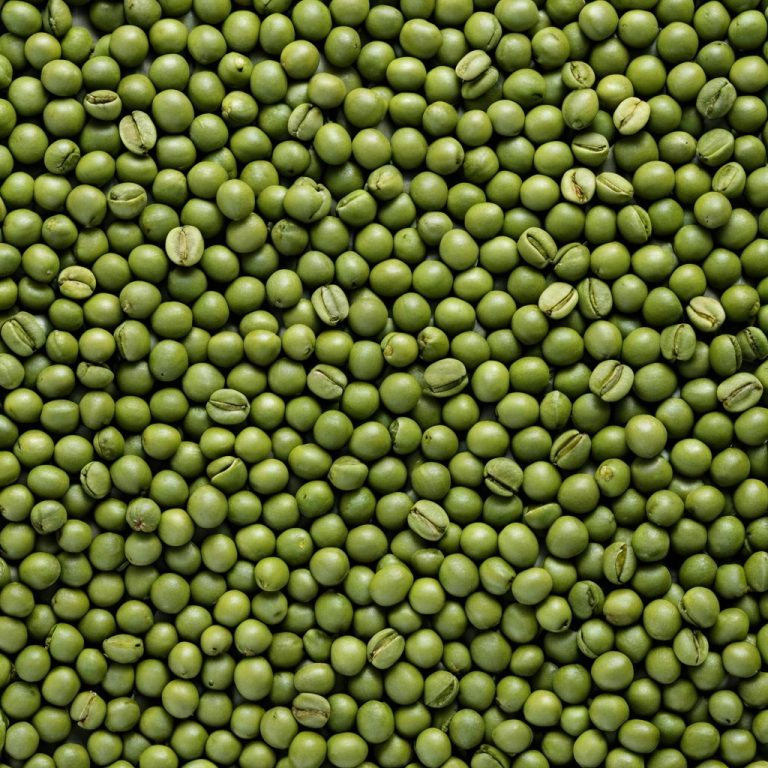Green Robusta Coffee Beans Wholesale