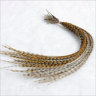 Grizzly Feather Hair Extensions Long Saddle Wholesale