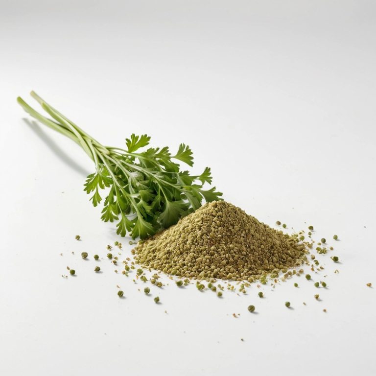 Ground Coriander Wholesale