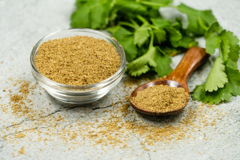 Ground Coriander Wholesale | Bulk B2B Supply