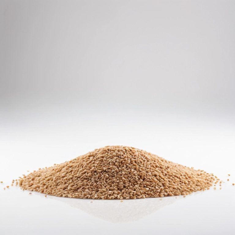 Hard Red Winter Wheat Wholesale