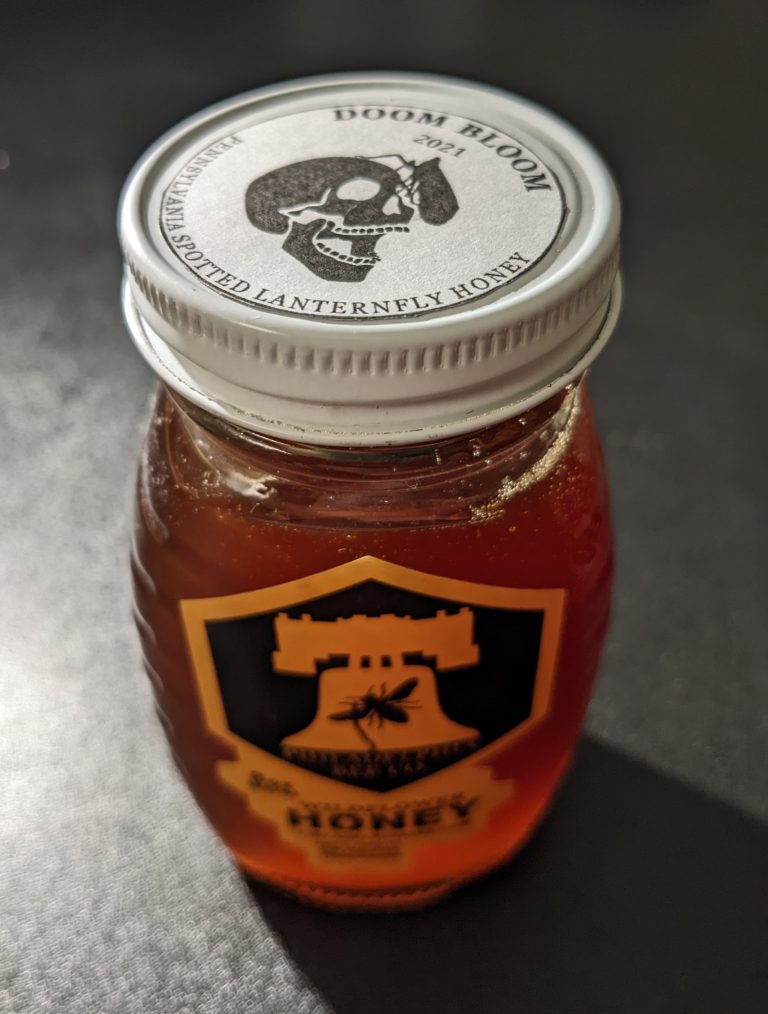 Honeydew Honey Wholesale | Bulk B2B Supply