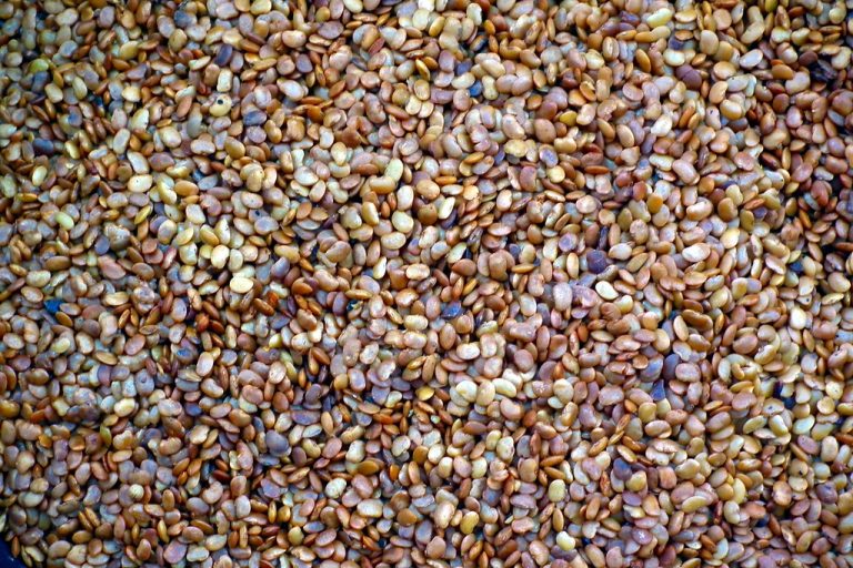 Horse Gram Wholesale | Bulk B2B Supply