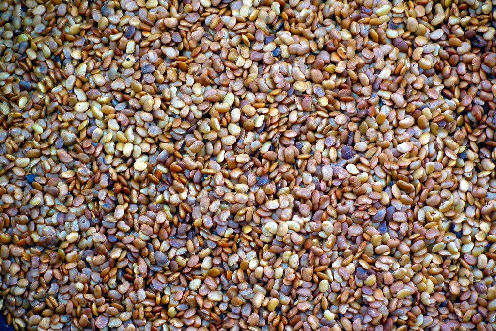 Horse Gram Wholesale wholesale product