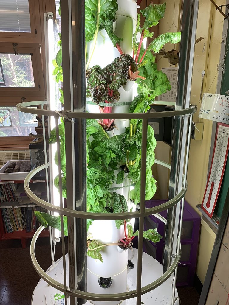 Hydroponic Tower Kit Wholesale – Vertical Growing System