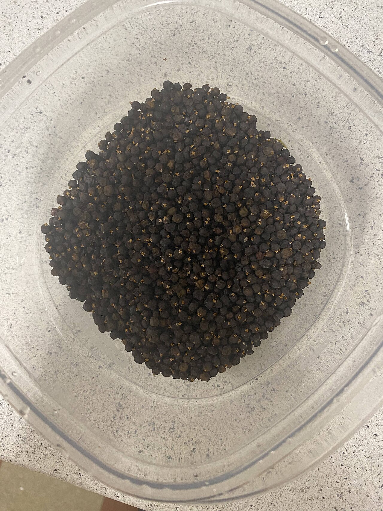 Juniper Berries wholesale product name text; no product image requested