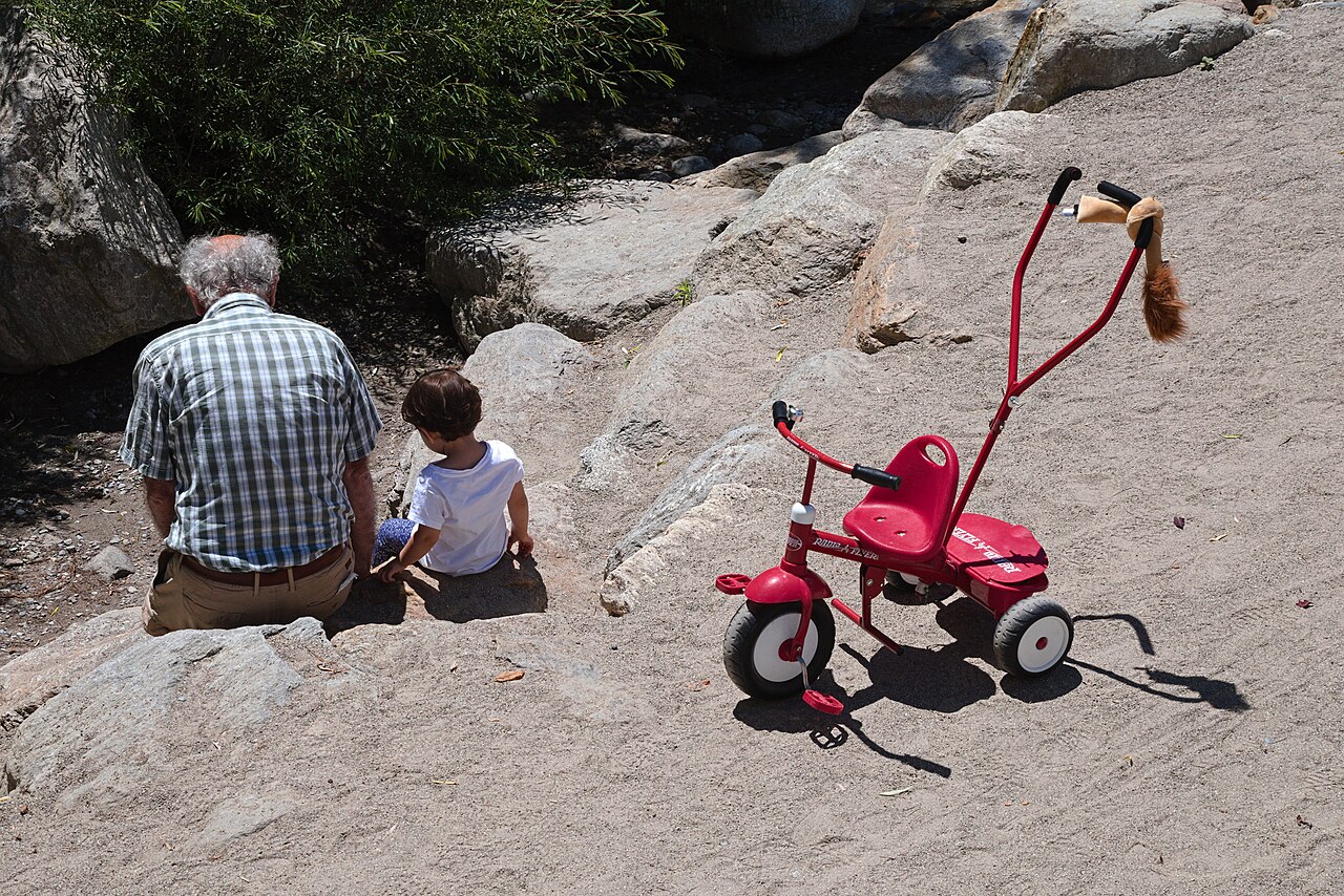 Kids Tricycles and Pedal Ride-On Toys Wholesale pack for wholesale and international export