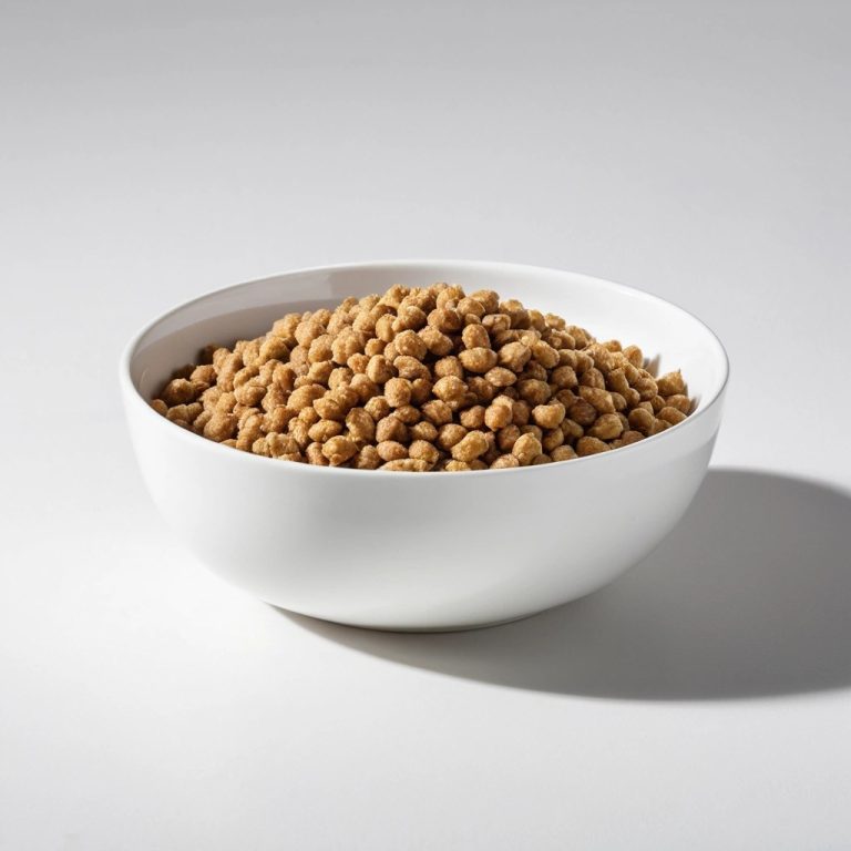 Kitten Food Wholesale