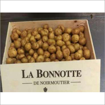 La Bonnotte Potatoes Premium Gourmet Wholesale