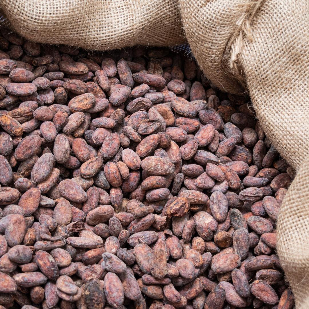 Raw Cocoa Beans Wholesale pack for wholesale and international export