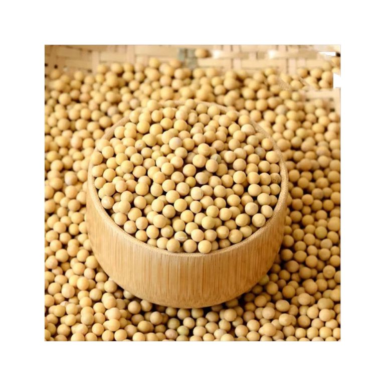 Soybeans for Crushing and Food Processing Wholesale