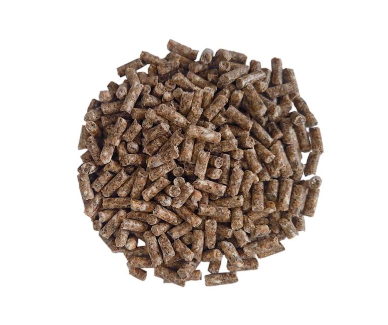 Sheep Fattening Feed Wholesale