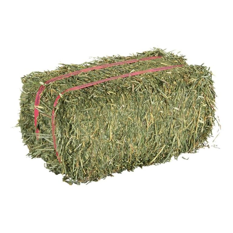 Alfalfa Hay and Hay Bales for Livestock Wholesale