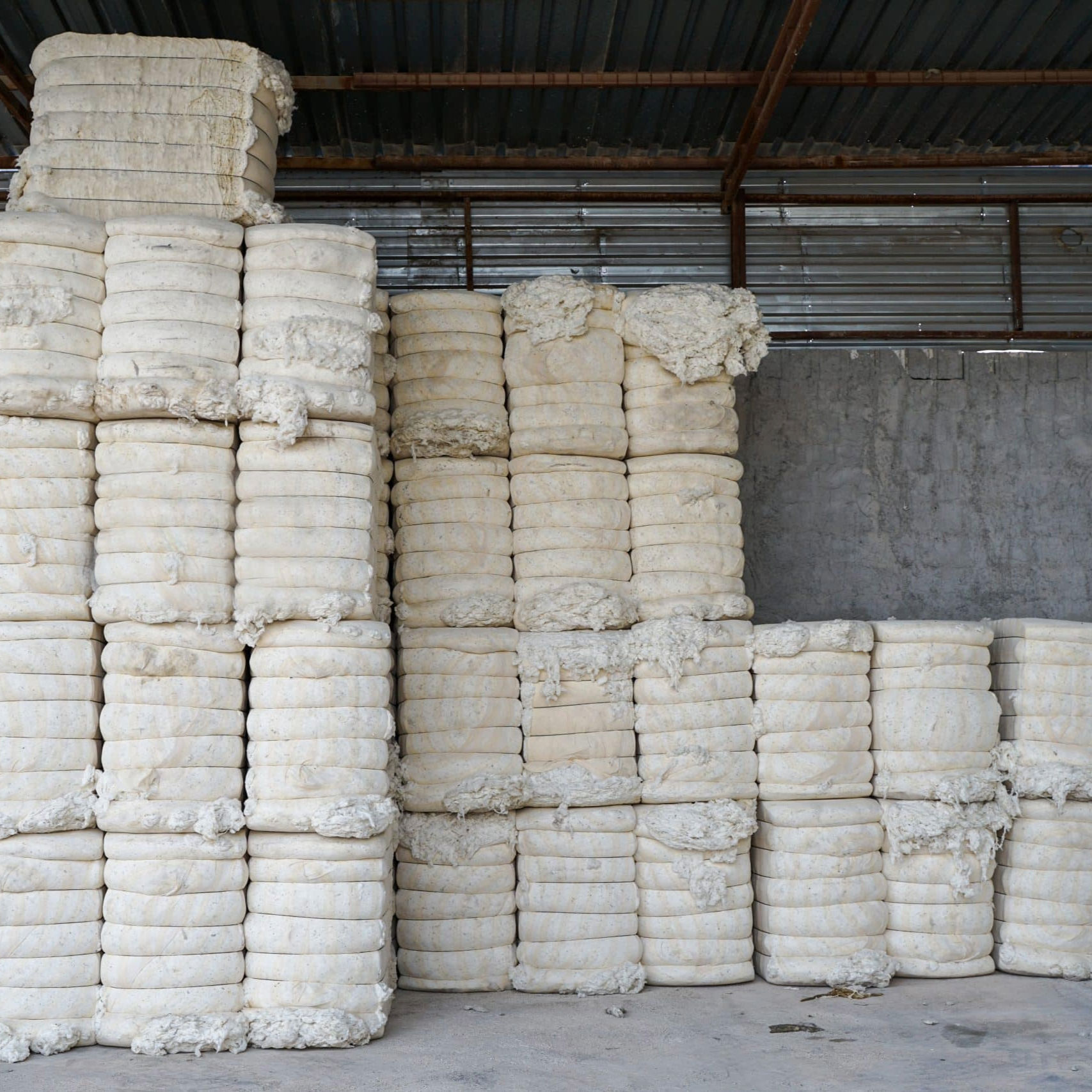 Cotton Lint