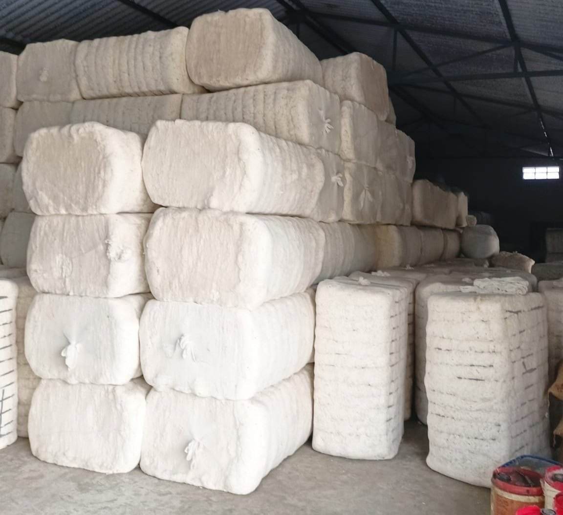 Organic Cotton Lint