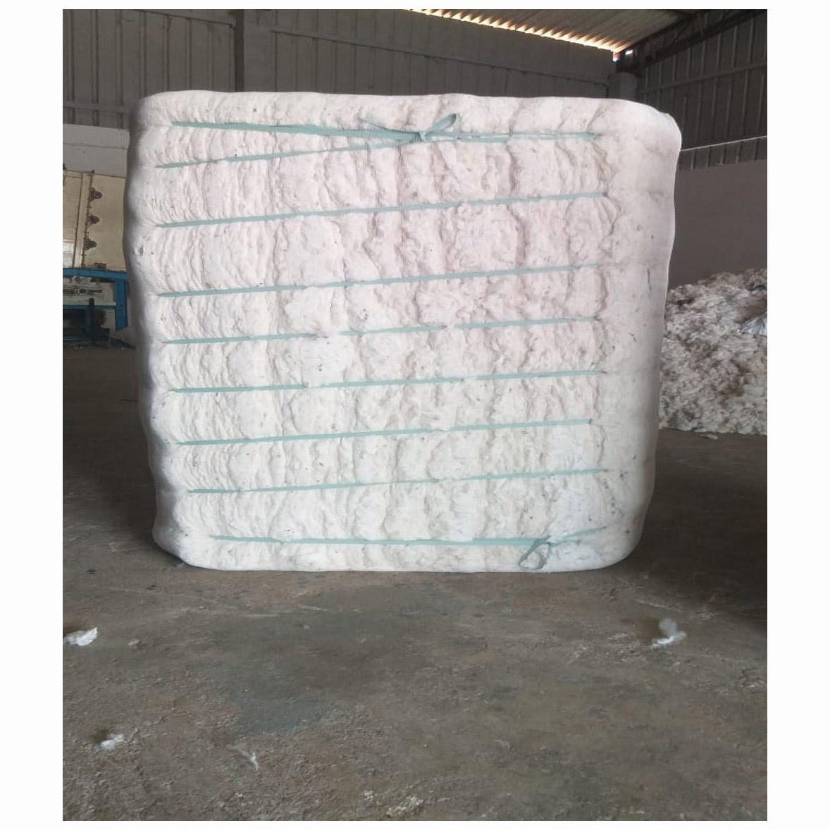 Cotton Bales for Spinning Mills