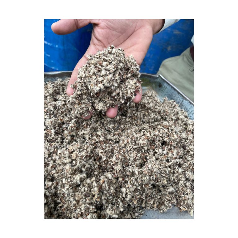 Cottonseed Hulls Wholesale