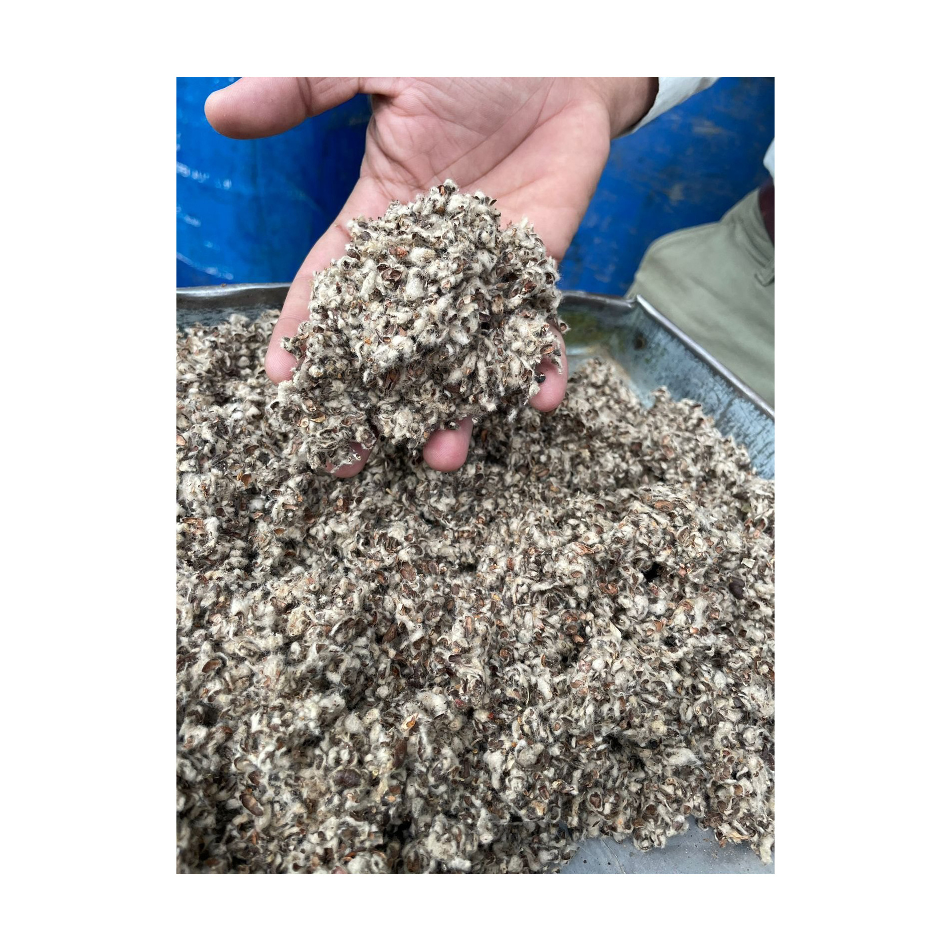 Cottonseed Hulls