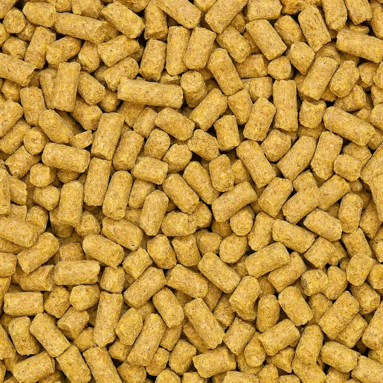 Layer Poultry Feed Wholesale