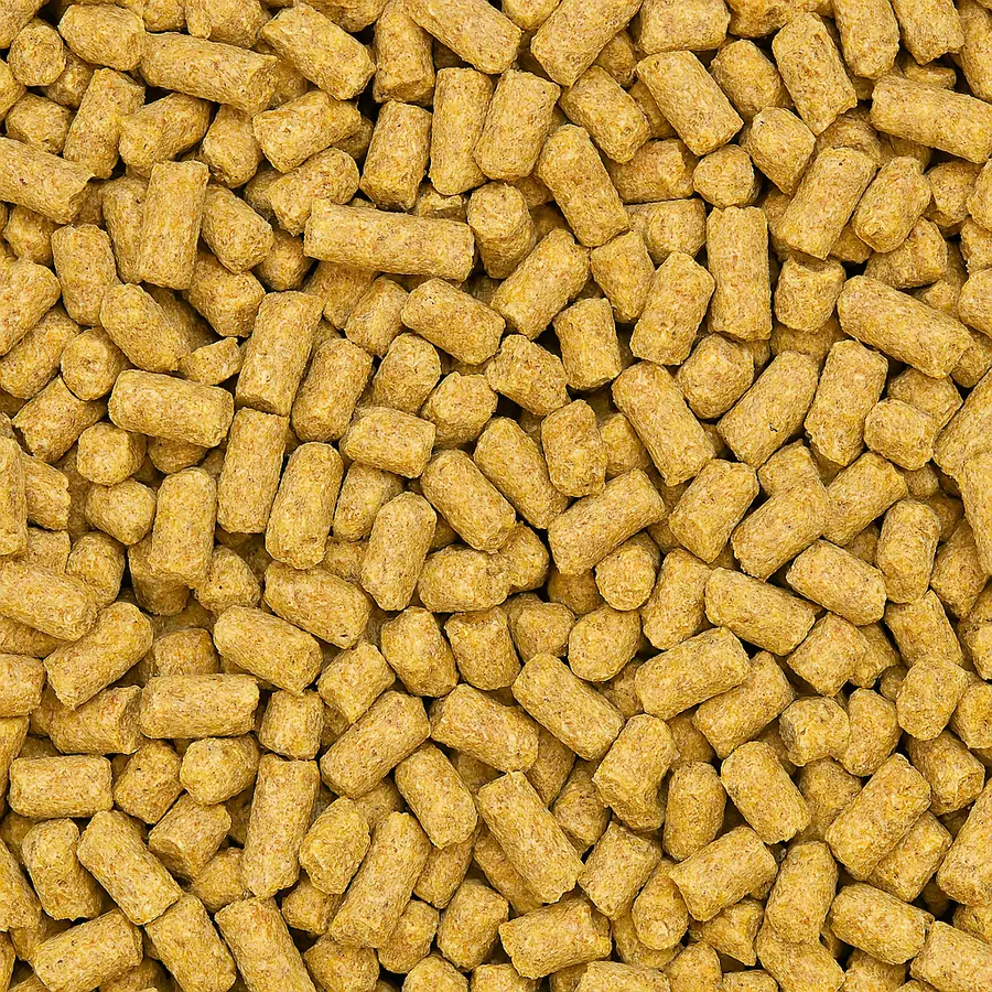 Layer Poultry Feed Wholesale pack for wholesale and international export