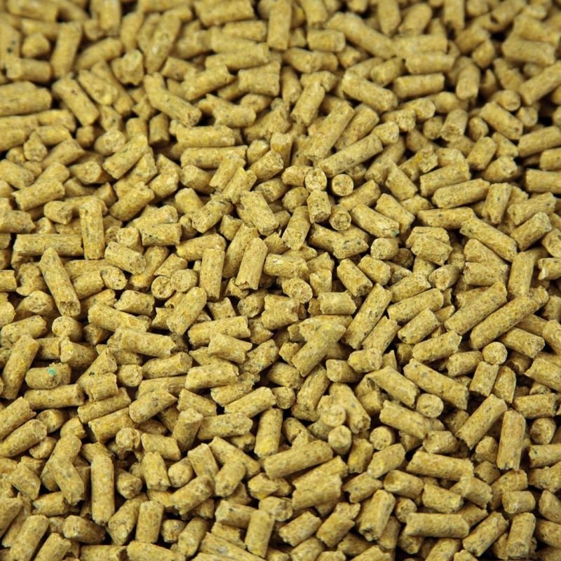 Cattle Feed Wholesale