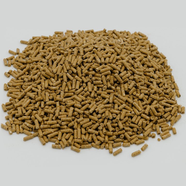Dairy Cow Feed Wholesale