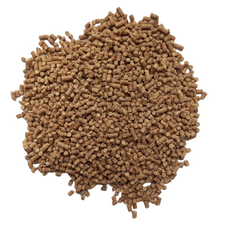 Shrimp Feed Wholesale
