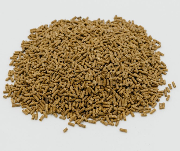 Calf Starter Feed Wholesale