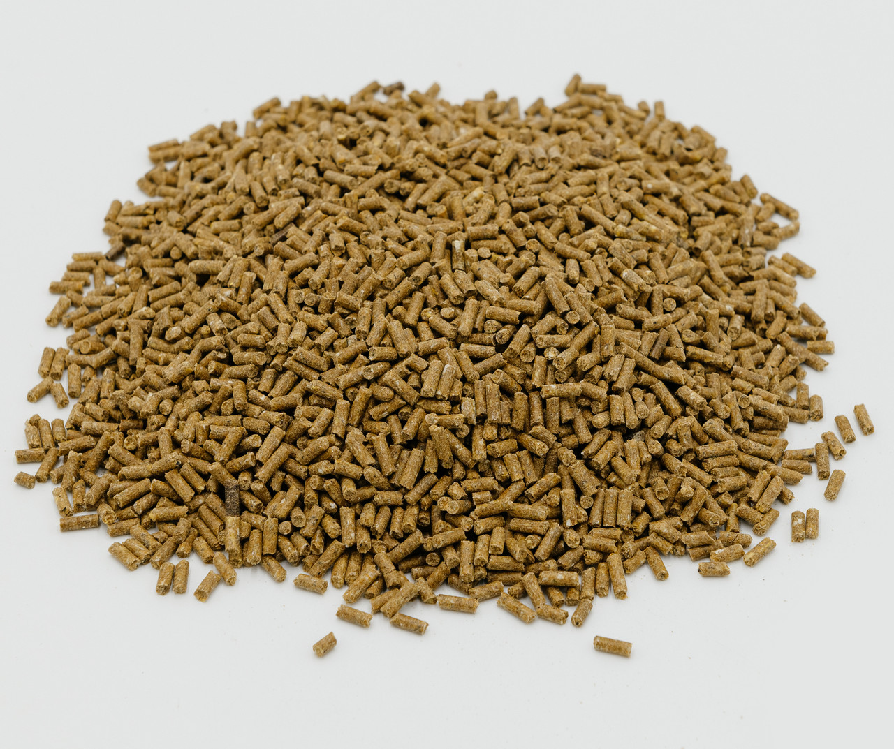 Calf Starter Feed Wholesale