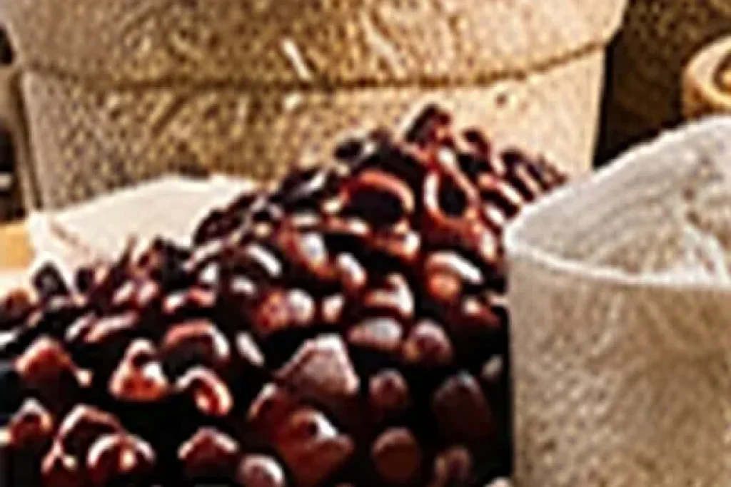 Adzuki Beans Wholesale | Bulk B2B Supply