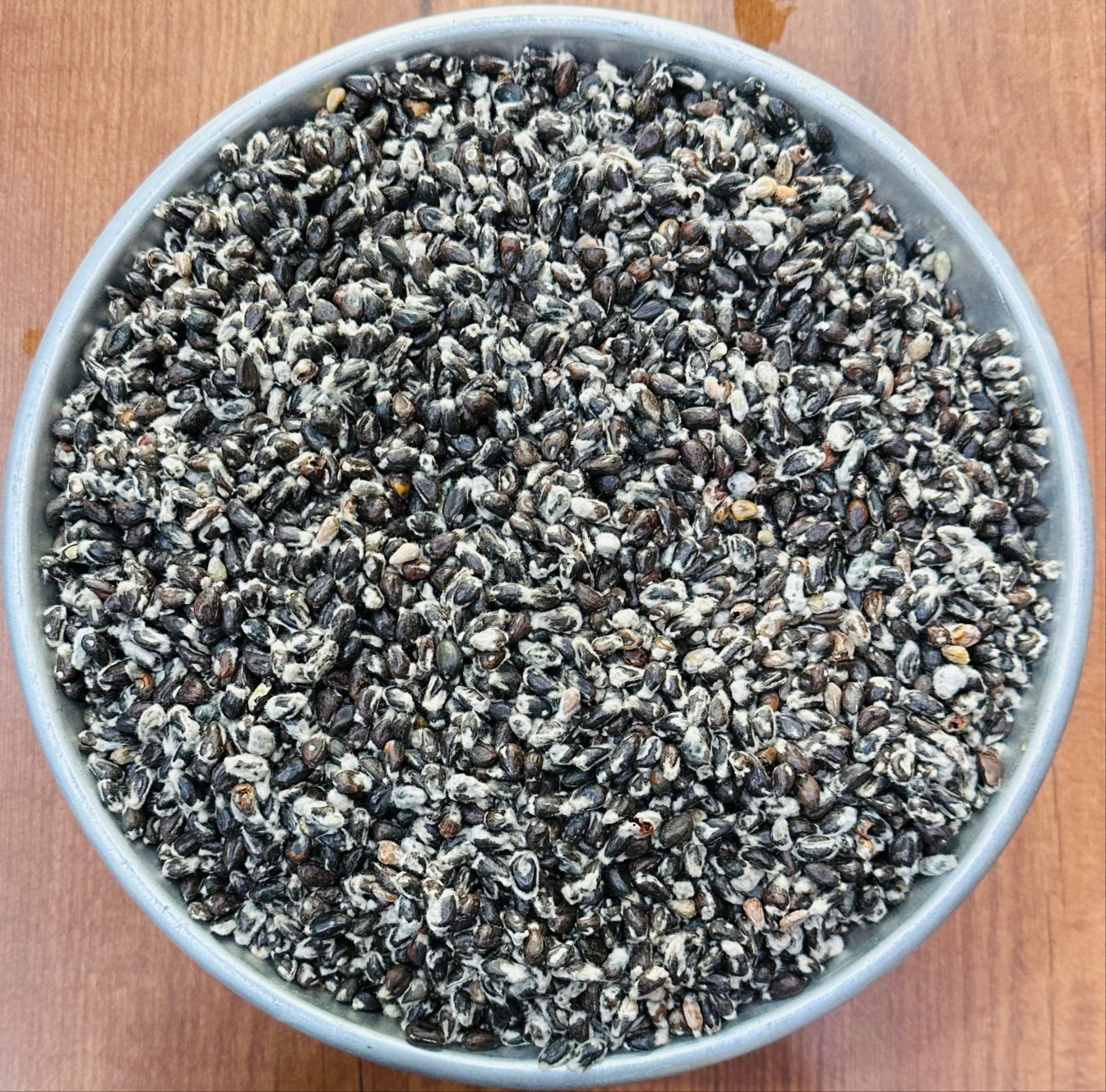 Delinted Cottonseed