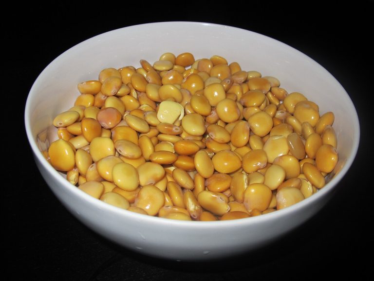 Lupin Beans Wholesale