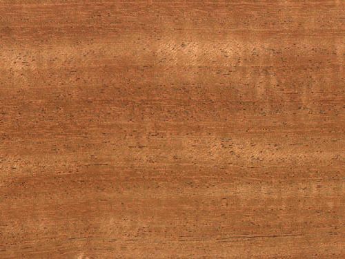 Mahogany Timber Wholesale