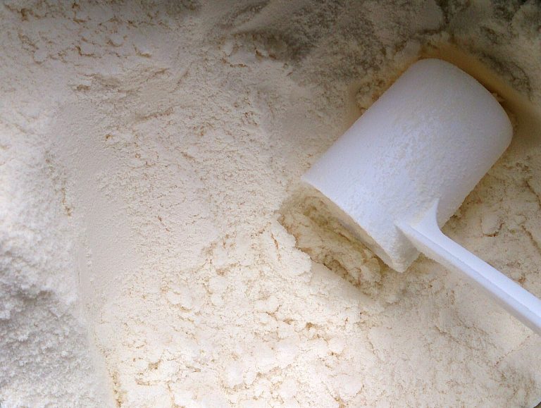 Milk Powder Wholesale