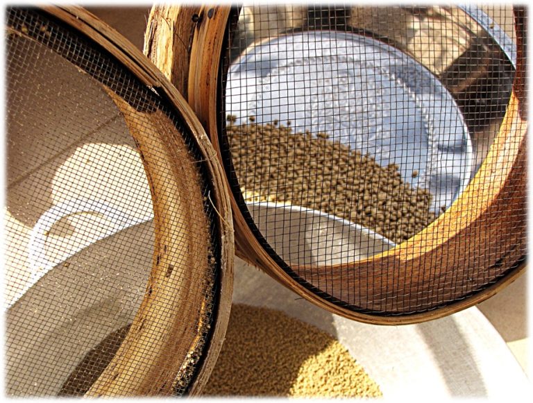 Millet Flour Wholesale | Bulk B2B Supply