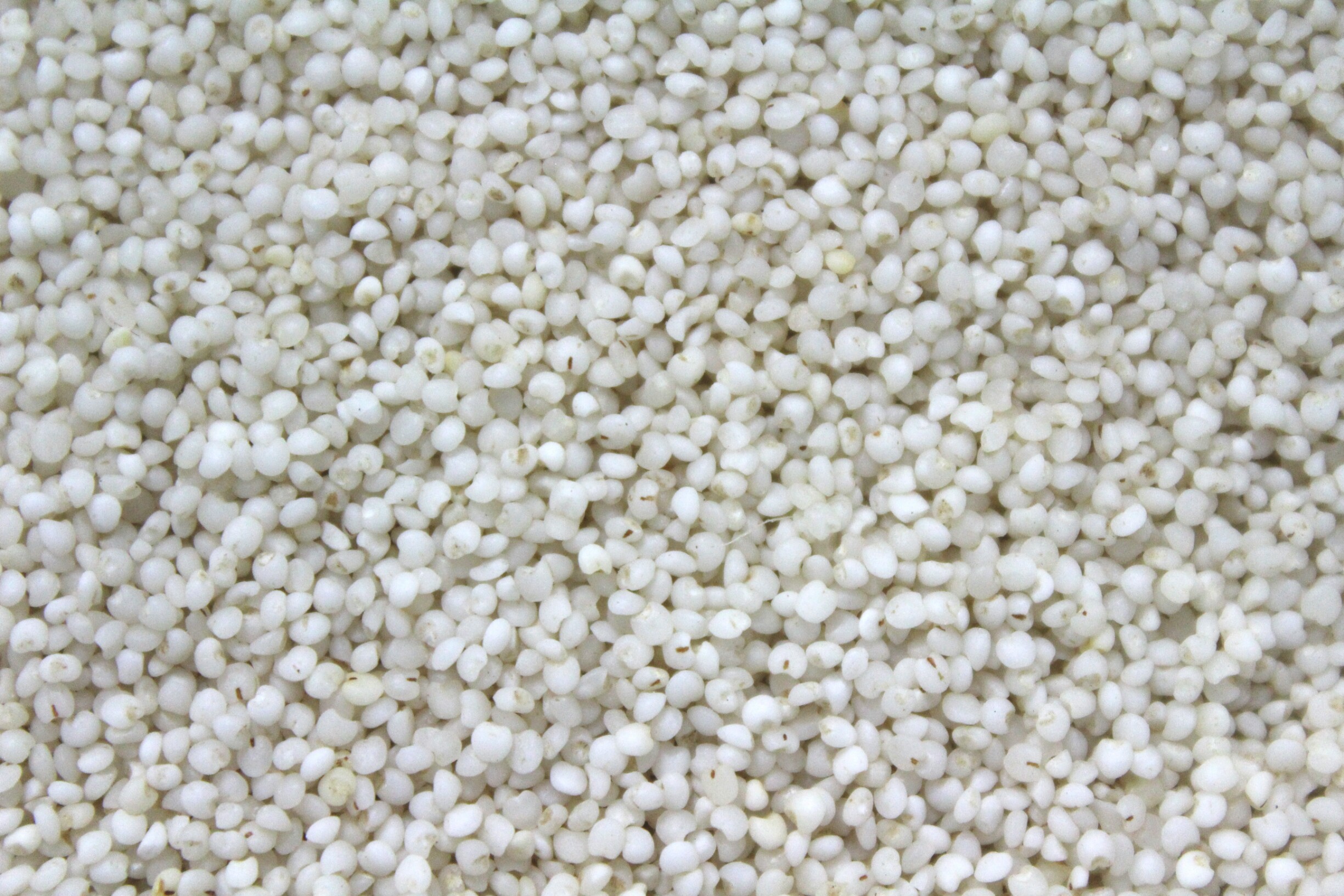 Millet Grain wholesale product