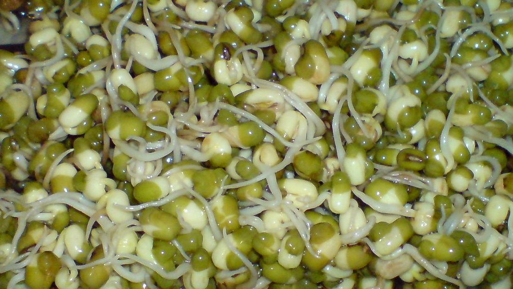 Mung Beans Wholesale wholesale product