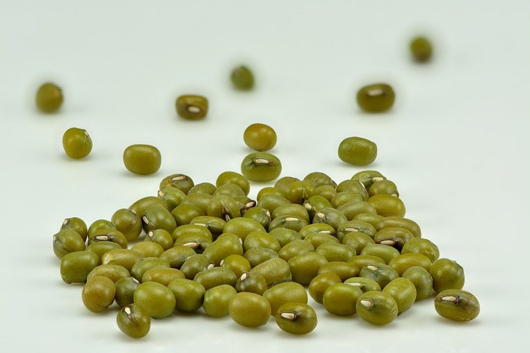 Mung Beans Wholesale
