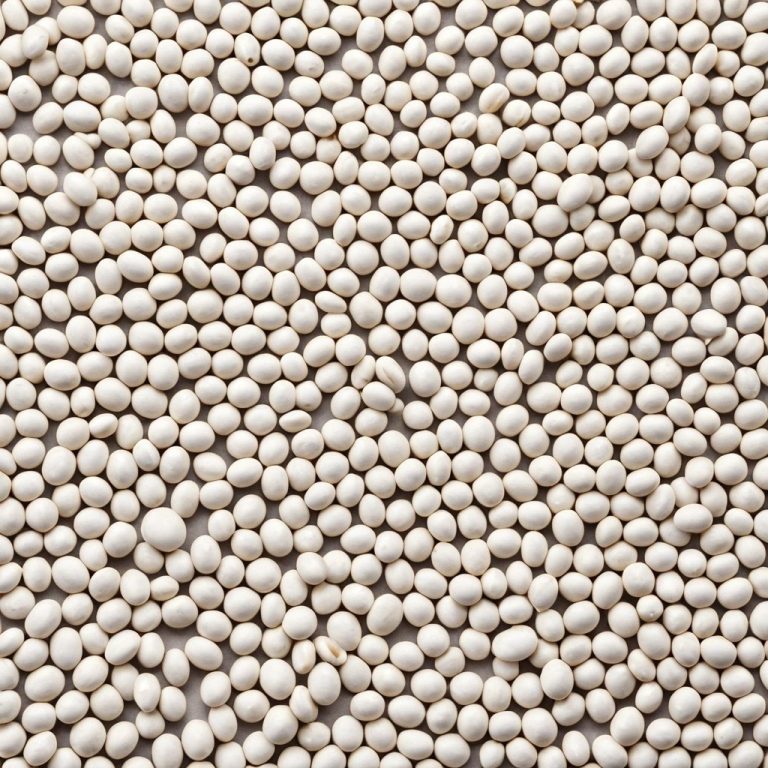 Navy Beans Wholesale