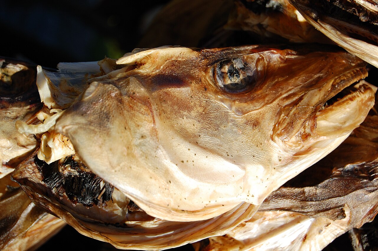 Norwegian Stockfish Whole Dried Cod Wholesale pack for wholesale and international export