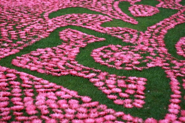 Nylon FDY Textile Yarn Wholesale