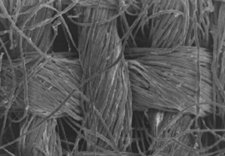 Organic Cotton Lint Wholesale | Bulk B2B Supply