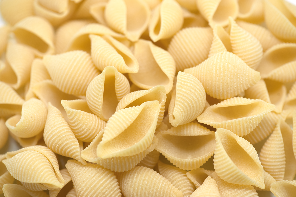 Pasta Shells Wholesale
