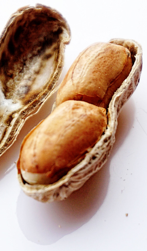 Peanuts Wholesale | Bulk B2B Supply