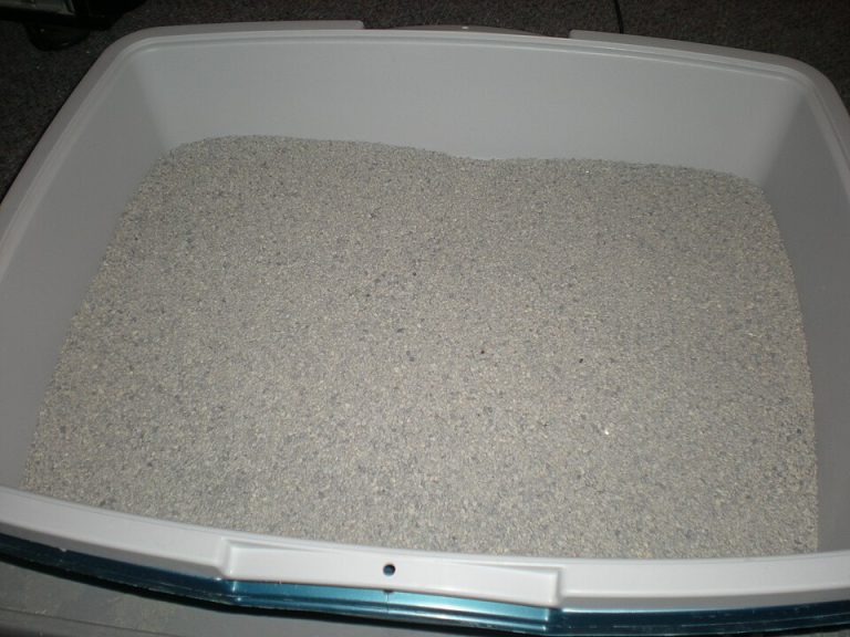 Pet Bedding & Litter
