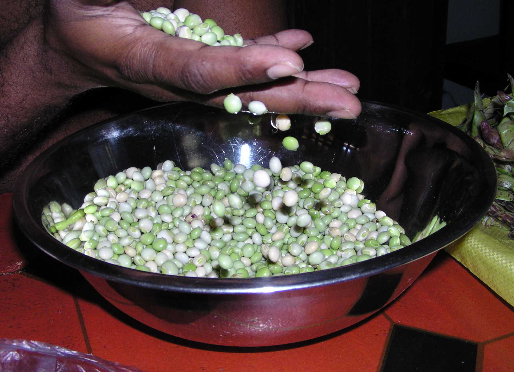 Pigeon Peas Wholesale