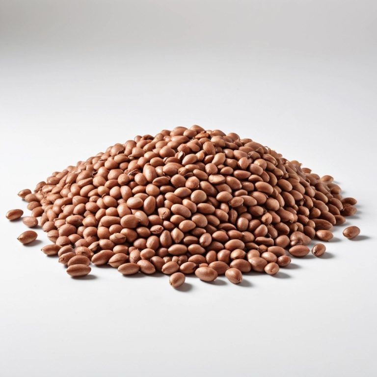Pinto Beans Wholesale